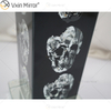 Vxin Supply Gothic Style WXTL-79 فضي أسود الجمجمة مصباح مرآة طاولة مع عاكس الضوء للفندق