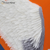 الريش امرأة مجردة قماش اللوحة جدار الفن WXPP-75 طباعة ملصق صورة اللوحة الزخرفية غرفة المعيشة ديكور المنزل