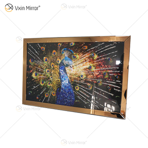 Vxin WXMA-56 كريستال بورسلين اللوحة الراتنج الطاووس إطار مغطى الزخرفية مرآة الحائط الفن